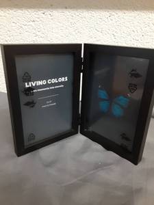 lot 394 image: 4x6 Photo Frame Damage See Photos  - Retail $0