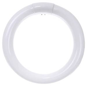 lot 688 image: Sunlite 41316 FC8T9CW 8-Inch T9 Round Fluorescent Circline Lamp, 22 Watts, 1250 Lumens, 4100K Cool White, G10Q 4-Pin Base, 1 Pack - Retail $14