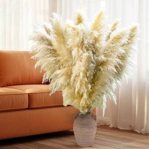 lot 17386 image: Geniff 20 Stems Natural Pampas Grass Decor 40 Tall Dreid Pampas Grass for Wedding, Party, Farmhouse, Fluffy Dreid Flowers Boho Home Decor Beige & White - Retail $19