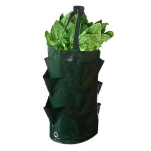 lot 17474 image: Grow Bag, 3 Gallon Hanging Planter Bag with Handles, Multi Planting Holes Strawberry Planting Container, Foldable Durable Growing Bags Grow Planter for Growing Vegetables Fruits Flowers Herb Plant - Retail $9