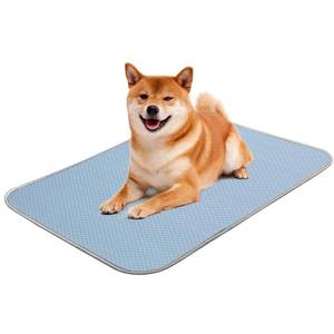lot 1963 image: Buvlnee Summer Dog Cooling Mat, Washable Ice Silk Self Cool Pad for Small Medium Large Dogs and Cats, 24x18in Pet Sleeping Pad for Crate, Bed, Indoor & Outdoor Floor, Car Seats - Retail $10