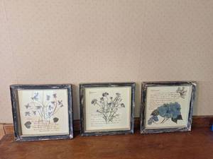 lot 26 image: Set of 3 Framed Pressed Flower Botanical Prints with Handwritten Text - 10x10
