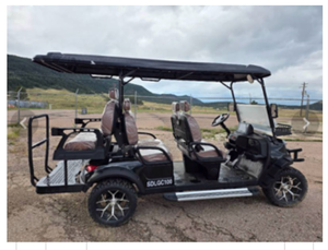 lot 436 image: SDLGC100 6-Person Electric Golf Cart 4000W 60V