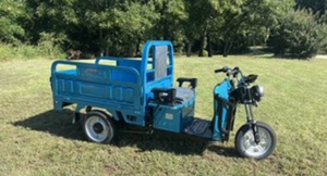 lot 484 image: ET13 800W Electric Utility Cargo Tricycle 60V 20A