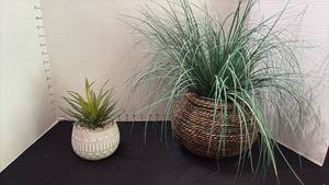 lot 1063 image: Planters with Greenery