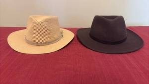 lot 2121 image: Biltmore Straw Type and Brown Wool Mens Hats Size Medium