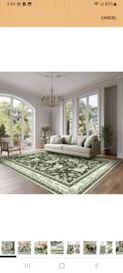 lot 23134 image: BileeHome Rug - Retail $0