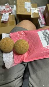 lot 23157 image: Natural Cork Balls Set of 6 - Retail $3