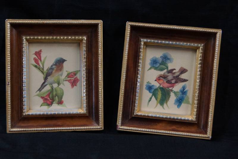 lot 376 image: 2 Beautiful Bird Framed Pictures