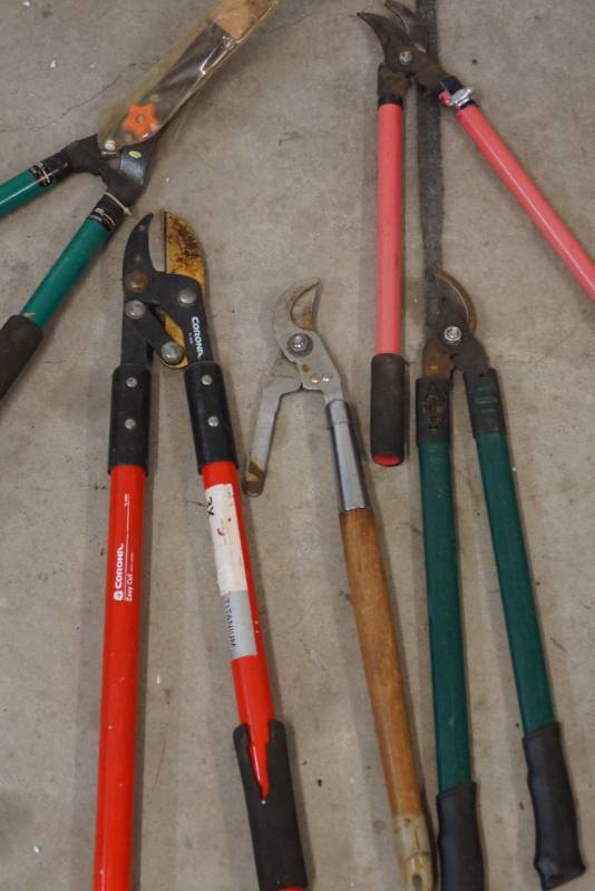 lot 480 image: Huge Lot of Pruners- Hedgers and More