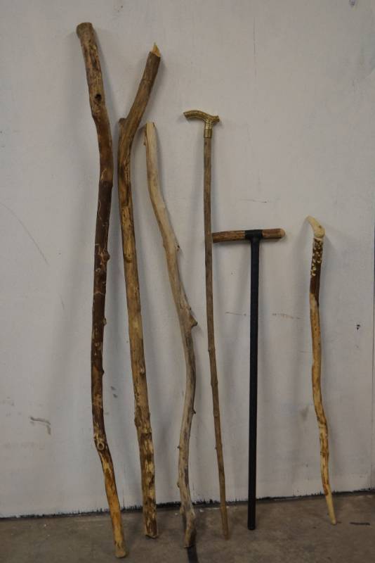 lot 484 image: Canes and Walking Stick Lot-  Unique- Driftwood-Brass Handle- Check These Out