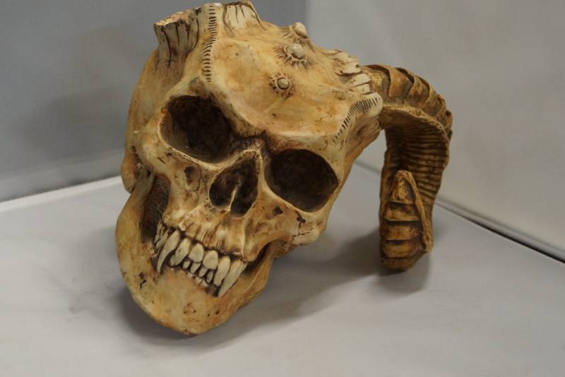 lot 492 image: Skull With Horn-  Creepy But Cool