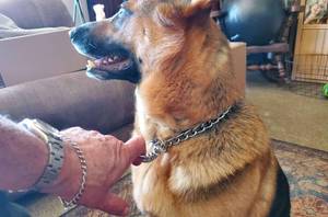 lot 12219 image: Chain Choke Collar for Dogs, Metal Slip Link Training Heavy Duty Dog Choker Collar Martingale Puppy Collars for XS Small Medium Large Big XL Breed Dogs (Silver, XL(Neck Max 22inch) D4.0mm)
