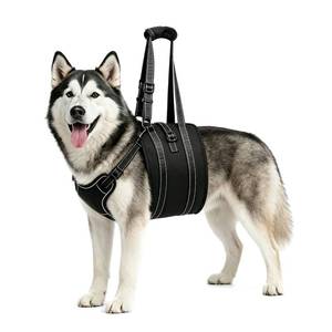 lot 12221 image: NOYAL Dog Lift Harness Sling - Adjustable Pet Carrier for Senior Dogs with Arthritis Joint Injuries, Emergency Support Rehabilitation Aid for Nail Trimming, Stairs Assistance