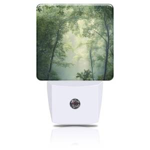 lot 12253 image: FOISIIAEA Misty Green Forest Night Light, Plug-in Nightlight with Dusk to Dawn Auto Sensor for Home Bedroom Hallway Kitchen 0.5W Sleep Friendly Led Lamp for Women Men