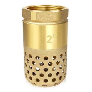 lot 12275 image: Brass Foot Valve, 2 inch NPT Spring Mesh Check Valve Female Connection One Way Foot Valve Backflow Preventer with Holes Strainer Filter(2 NPT)