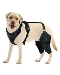 lot 20265 image: LISPOO Dog Knee Brace for Torn ACLCCL Hind Leg,Adjustable Support with Sufficient Wrapping and Support & Luxating Patella, Non-Slip Joint Brace,Pain Relief & Better Recovery-Both LegXL