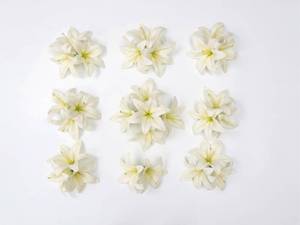 lot 9189 image: 60PCS 6 Large Fake Lilies Flower Heads with Realistic Stamens(No stem), Artificial White Lilies Flower Cake Topper, Faux Lily Flowers for Crafts, Cake Decorating, Wedding Party Wreath, Home Decor