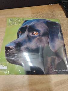 lot 14168 image: Black Labs 2026 Calendar