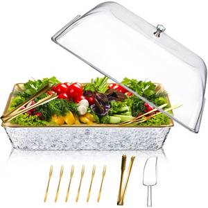 lot 19907 image: Baderke 1 Set 16 x 9 Chilled Serving Tray for Parties with Compartments and Lid Charcuterie Serving Board Ice Rectangle Chilled Party Platter for Seafood Vegetable Fruit Shrimp Cocktail (Gold)