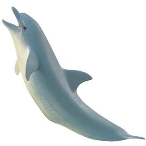 lot 2060 image: Safari Ltd. Bottlenose Dolphin Figurine - Detailed 5 Plastic Model Figure - Fun Educational Play Toy for Boys, Girls & Kids Ages 3