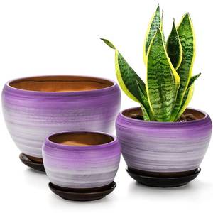 lot 3851 image: SOUJOY Set of 3 Ceramic Flower Pots, Gardening Plant Pot with Drainage Holes and Saucer, 754 inch Purple Round Succulent Herbs Cactus Planter for Indoor Outdoor