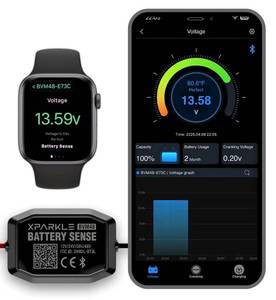 lot 6256 image: Bluetooth Battery Monitor 12V 24V - 36V 48V RV Battery Monitor with Charging, Cranking System Test & Alarm - Automotive Car Battery Load Tester with Temp Sensor for Trucks, Cars, Motorcycles, Boats