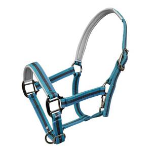 lot 6257 image: Hilltown Adjustable Horse Halter - Zinc Alloy Hardware, Adjustable Fit, Soft Rubber Padding, Waterproof PP Webbing, Easy Maintenance - Ideal for Daily Use, Leading & Riding (Full, Blue)