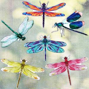 lot 20189 image: 12 Pieces Dragonfly Screen Door Magnets Double Sided Screen Stickers Magnetic Flexible Door Protector Decorative Multicolor Refrigerator Magnets for Sliding Doors(Bright Style)
