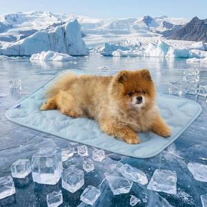 lot 20204 image: LE SURE Dog Cooling Mat for Small Dogs - QMAX0.5 Breathable Thin Cool Crate Pad for Cat with Chill Fiber and Innovative Mesh Base Design, Portable Washable Pet Kennel Mat for Summer, 24x18,Blue