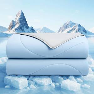 lot 9265 image: BestGlory Cooling Comforter Twin Size, Cooling Blankets for Hot Sleepers and Night Sweats, Double Side Cool Soft Light Micro Gravity and Breathable Absorb Heat Bed Blanket 68�90 Inches, Light Blue