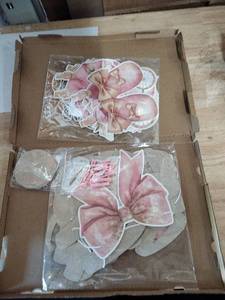 lot 2047 image: Baby girl gender reveal party decorations