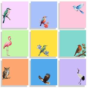 lot 14093 image: 9 Pads Cute Sticky Notes Set, 3 x 3 Bird Self Stick Notepads, Funny Sticky Notes Set, Bird Stationery, Kawaii Adhesive Memo Pads, Bird Lover Gifts, Office Decor Desk Accessories, School Supplies