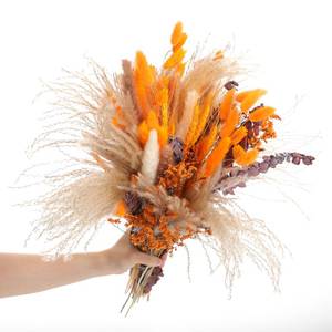 lot 19115 image: Thiccywoov 120 Pcs Orange Natural Dried Pampas Grass Fall Decor 17 Inches Autumn Fluffy Grass Bouquet Eucalyptus Boho Decor for Vase Wedding Floral Room Home Party Table Centerpieces Decorations