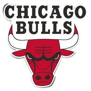 lot 20048 image: Desert Cactus Chicago Bulls NBA Officially Licensed Sticker Vinyl Decal Laptop Water Bottle Car Scrapbook (Individual 1)
