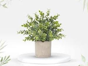 lot 6382 image: Faux Plants in Ceramic Pots Set of 2