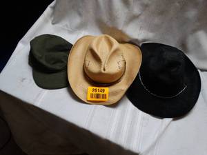 lot 26149 image: Lot of Misc. Hats
