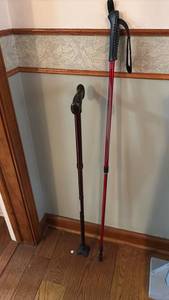 lot 1229 image: Sportline Red Pole and Walking Aid Cane