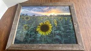 lot 1235 image: Rustic Framed Sunflower Art 19x23