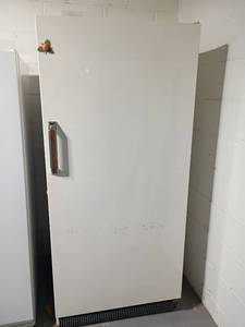 lot 3000 image: Montgomery Wards Deluxe Freezer.   66.5 x 30 x 32.    Located in basement.  Plugged it in, light comes on but doesnt seem to be getting cold