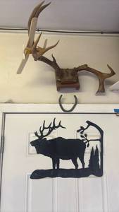 lot 4827 image: Deer Antler Mounts and Wall Decor Lot