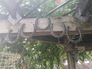 lot 5013 image: Horseshoes with Wall Hooks and outdoor hangings. Bring tools and step ladder to remove horseshoe hanger.