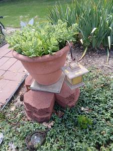 lot 5060 image: Plant with outdoor decor.&nbsp