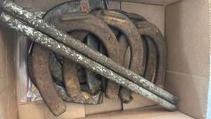 lot 4226 image: Horse Shoe Game