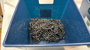 lot 238 image: Bulk Lot of Magnetic Hematite Beads in Bin Container