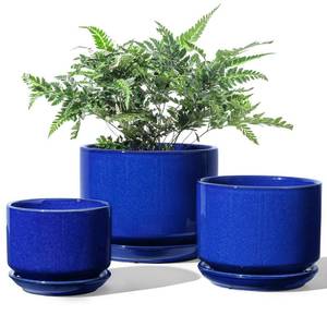 lot 148 image: LARGEST POT DAMAGED, SEE PHOTOS LE TAUCI Ceramic Plant Pots, 4.35.36.8 inch, Set of 3, Planters with Drainage Hole and Saucer, Indoor Flower Pot with Hole Mesh Pad, Gifts for Mom, Sapphire Blue - Retail $40