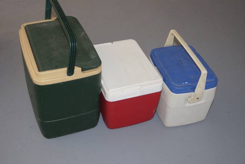 lot 202 image: 3 Coolers  2 Igloo & 1 Coleman