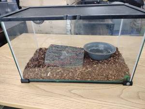 lot 63054 image: 10-gallon glass reptile terrarium