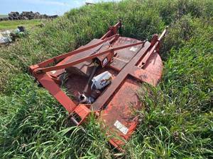 lot 6506 image: Rhino 3 - Point Brush Hog