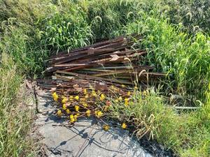 lot 6520 image: Lot of Metal T-Posts and Metal Electric Fence Wire with Insulators